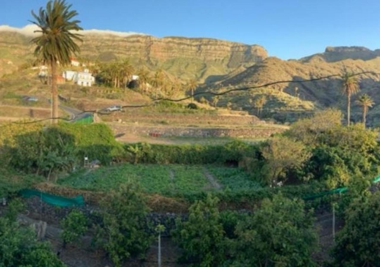 Casa Maria - Finca Medina Alojera Εξωτερικό φωτογραφία